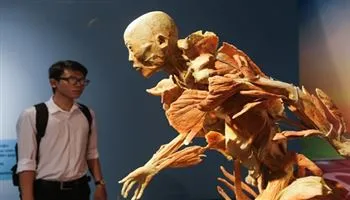 Triển lãm cơ thể người đầu tiên ở Việt Nam tạm đóng cửa vì sai phạm