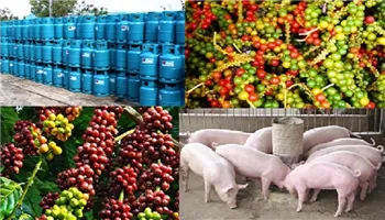 6 tháng cuối năm, lạm phát tăng cao nhất khoảng 4%