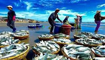 Việt Nam gia nhập Hiệp định PSMA