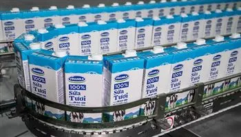 Vinamilk tiếp tục vào top 10 công ty nộp thuế nhiều nhất Việt Nam