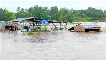 Dự báo thời tiết ngày mai 9/8: Nam bộ còn mưa, dông, miền Tây sắp có lũ