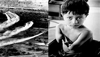 Chung tay xoa dịu nỗi đau da cam/dioxin