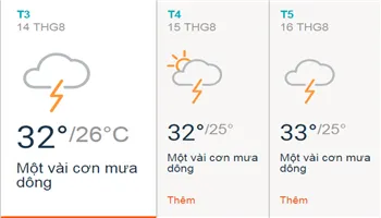 Dự báo thời tiết TPHCM 3 ngày tới 14/8 - 16/8: Sáng nắng, dông mưa xuất hiện chủ yếu vào buổi chiều