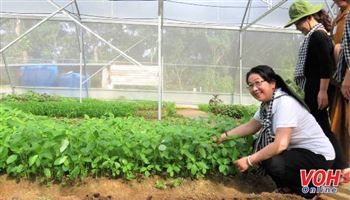 Chiến sĩ Tây Nam tăng gia sản xuất hiệu quả từ những món quà thiết thực từ đất liền 