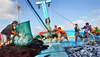Tăng cường giải pháp chống khai thác hải sản bất hợp pháp