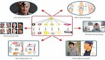 3 biện pháp phòng chống ung thư - thành tựu trong y tế dự phòng Nhật Bản