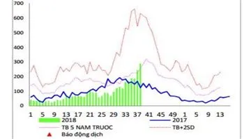 Bênh sởi, tay chân miệng đang tăng tại TPHCM