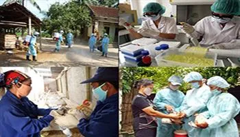 Chính phủ hỗ trợ Ninh Thuận phòng, chống dịch bệnh động vật