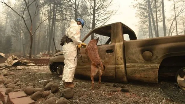 Cháy rừng California: Thị trấn Paradise phải xây dựng lại toàn bộ