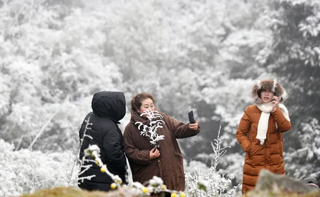 Du khách thích thú trước khi thấy tuyết rơi ở vùng núi Bắc Bộ. Ảnh minh hoạ: Hoàng Hà - Zing