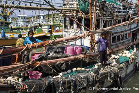 Thái Lan hoan nghênh phán quyết của EU về xóa "thẻ vàng" đánh bắt cá