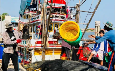 Thái Lan hoan nghênh phán quyết của EU về xóa "thẻ vàng" đánh bắt cá