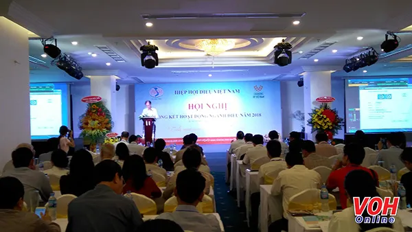 Hiệp hội điều Việt Nam tổ chức hội nghị tổng kết hoạt động ngành năm 2018.