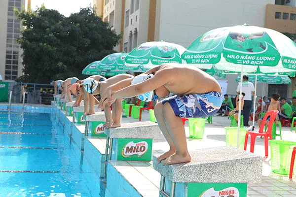 Hơn 600 học sinh tham dự Festival bơi lội học sinh TPHCM
