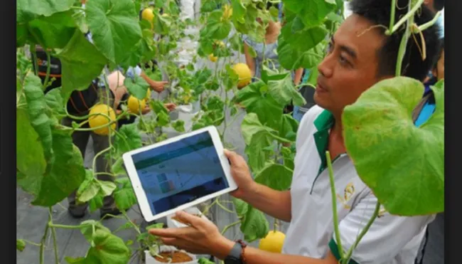 Nông nghiệp công nghệ cao - Hướng đi tất yếu của nông nghiệp TPHCM
