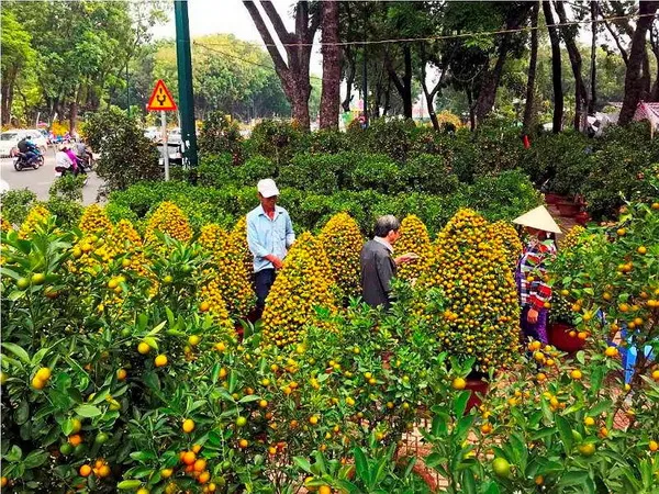 Chợ hoa Tết Kỷ Hợi tại công viên Gia Định