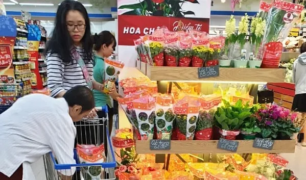 hoa chậu nhỏ, hoa chưng tết, ngày 2 tháng 2 năm 2019