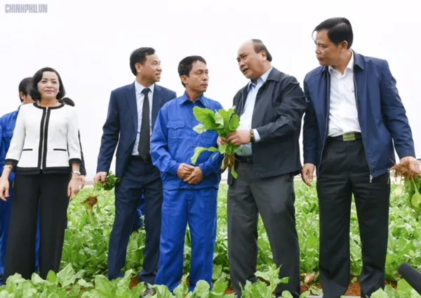 Thủ tướng thăm hỏi, động viên người lao động trên nông trường của Công ty Doveco
