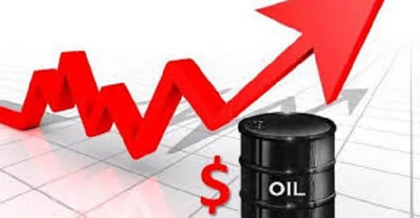 biểu đồ giá dầu