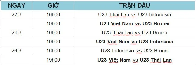  U23 Châu Á 2020, U23 Việt Nam