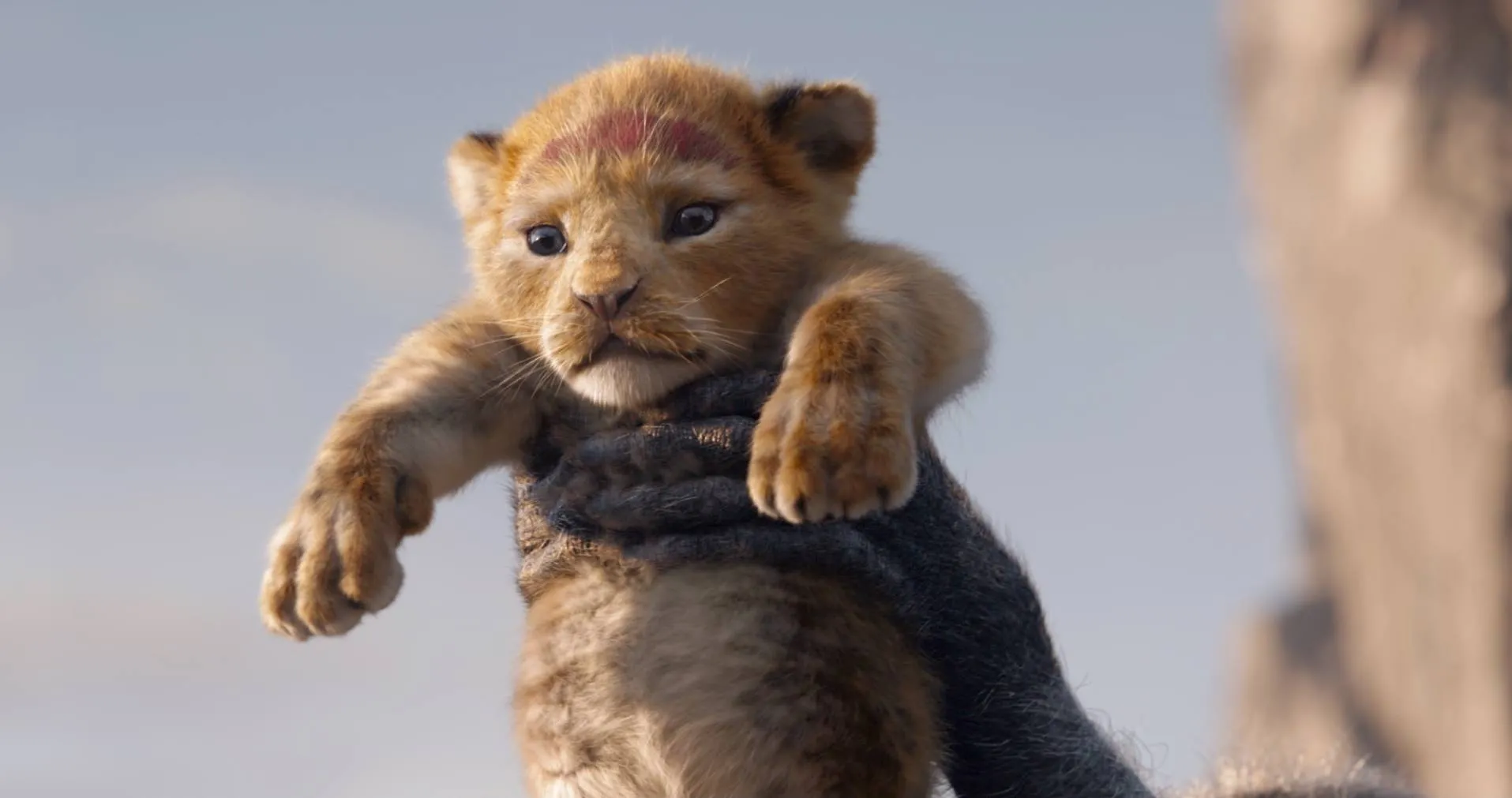 VOH-The-Lion-King-2019-1