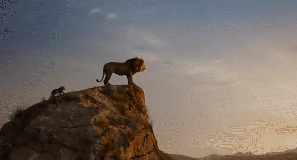 VOH-The-Lion-King-2019-4