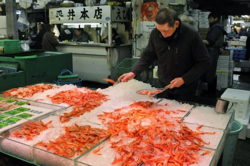 Nhật Bản không hài lòng việc WTO xem xét lại lệnh cấm nhập khẩu hải sản của Hàn Quốc. 