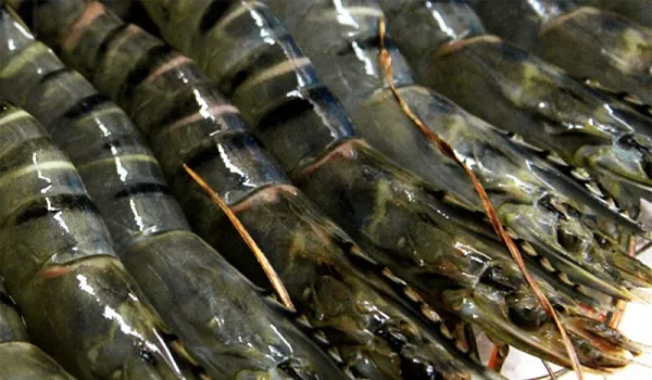 Ngày 23 tháng 4 năm 2019, Thị trường hôm nay, Giá thực phẩm, Giá cả thị trường