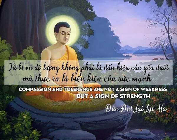 Câu nói hay của Phật Pháp