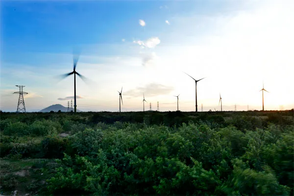 Khánh thành tổ hợp dự án năng lượng tái tạo lớn nhất Việt Nam