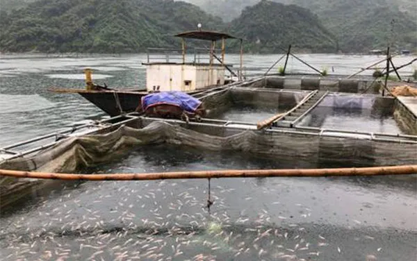 Cấp hóa chất cho Bạc Liêu phòng, chống dịch bệnh thủy sản