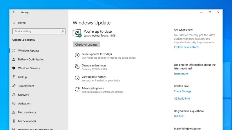 Pause Windows updates