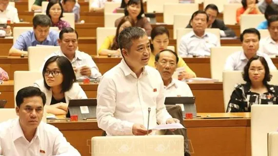 ĐB Nguyễn Lân Hiếu (An Giang) phát biểu tại phiên thảo luận sáng ngày 30/5