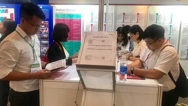 tuyển dụng, Hàn - Việt, 2019