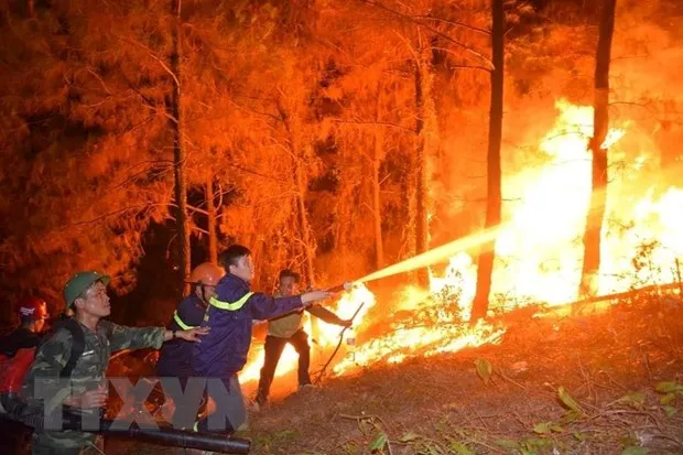 Cháy rừng tại Hà Tĩnh bùng phát trở lại