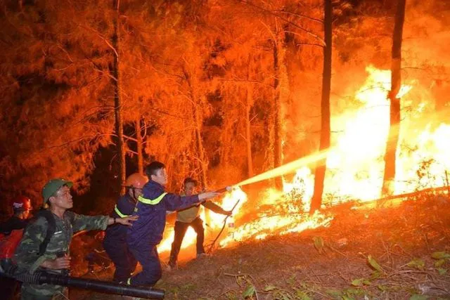 cháy rừng Hà Tĩnh, cháy rừng, khởi tố bị can