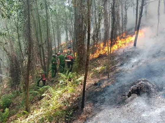 cháy rừng ở Hà Tĩnh, nắng nóng, gió lào