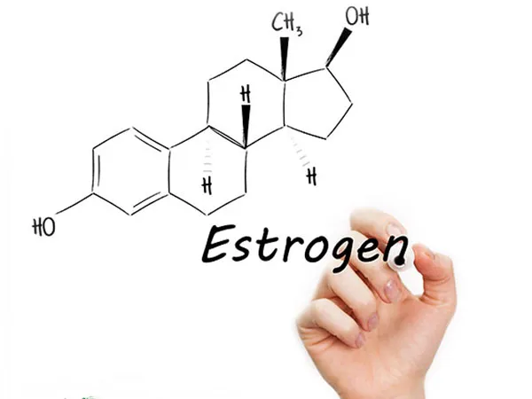 estrogen-la-gi-dau-hieu-giup-ban-nhan-biet-co-the-dang-thieu-estrogen-voh