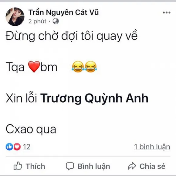 VOH-Tim-am-chi-Truong-Quynh-Anh-ngoai-tinh-voi-Tim-2