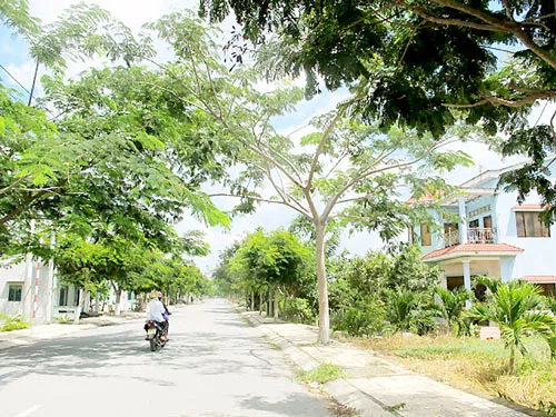 Một tuyến đường nông thôn mới tại ấp Tân Điền, xã Lý Nhơn, huyện Cần Giờ được xây dựng từ nguồn vốn Nhà nước và nhân dân cùng làm
