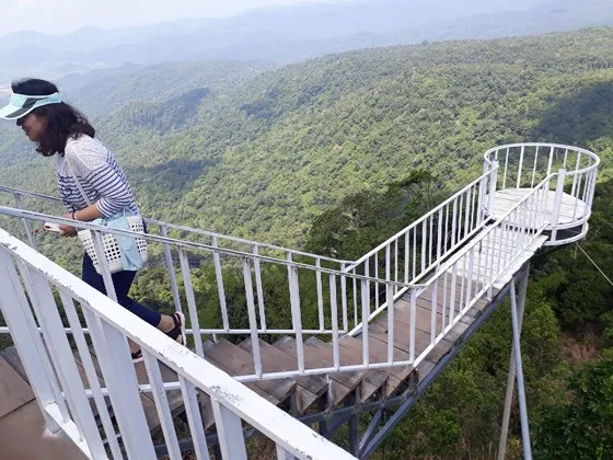 sống ảo, trái phép, đèo Đại Ninh