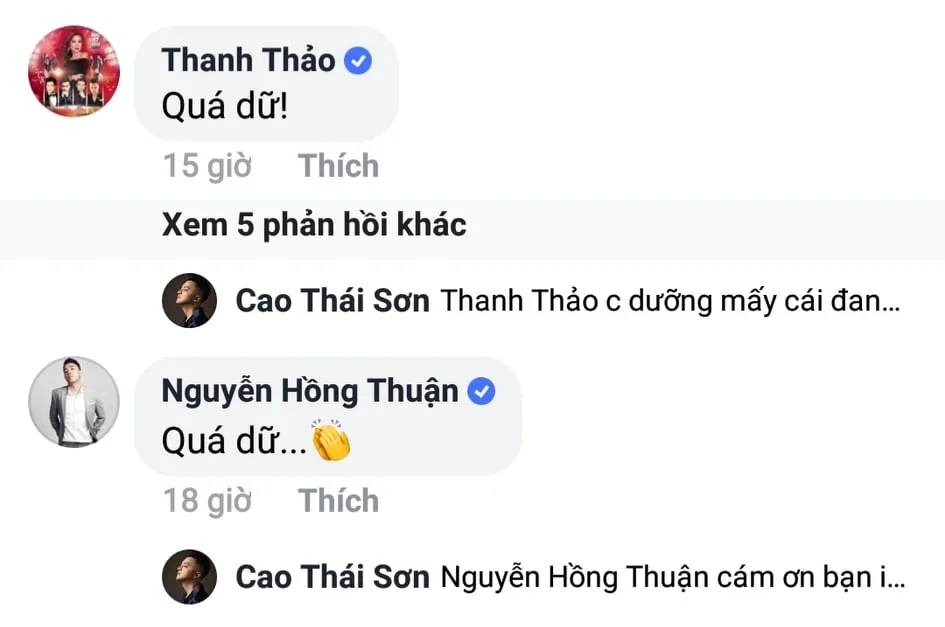 voh-biet-thu-cua-cao-thai-son-voh.com.vn-anh5