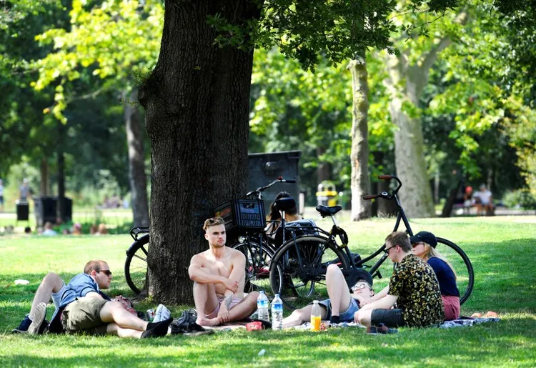Người dân đang tránh nóng dưới tán cây tại công viên Vondelpark ở thủ đô Amsterdam, Hà Lan ngày 25/7/2019