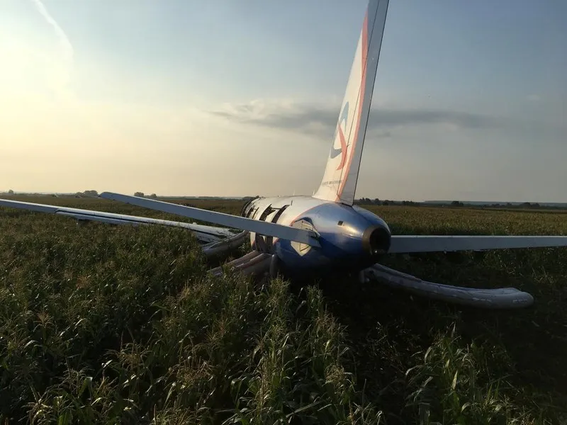 Máy bay Nga phải hạ cánh khẩn cấp vì va chạm với chim