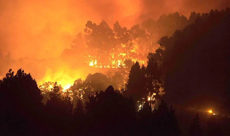 Cháy rừng dữ dội ở Tây Ban Nha, 8.000 người phải sơ tán khẩn cấp