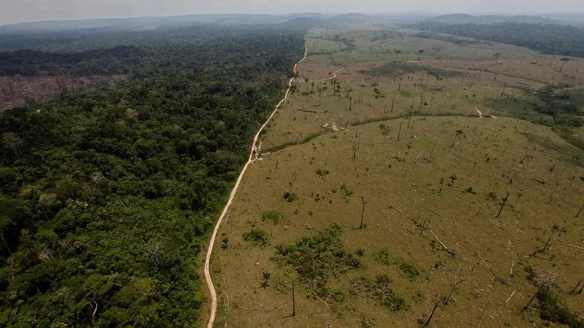 Brazil: Số vụ cháy rừng ở Amazon tăng cao lên mức kỷ lục