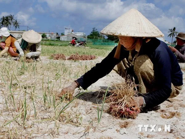 Dự báo thời tiết hôm nay