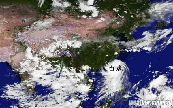 Bão Bailu đã vào đất liến Trung Quốc và sẽ suy yếu trong 24 giờ tới 