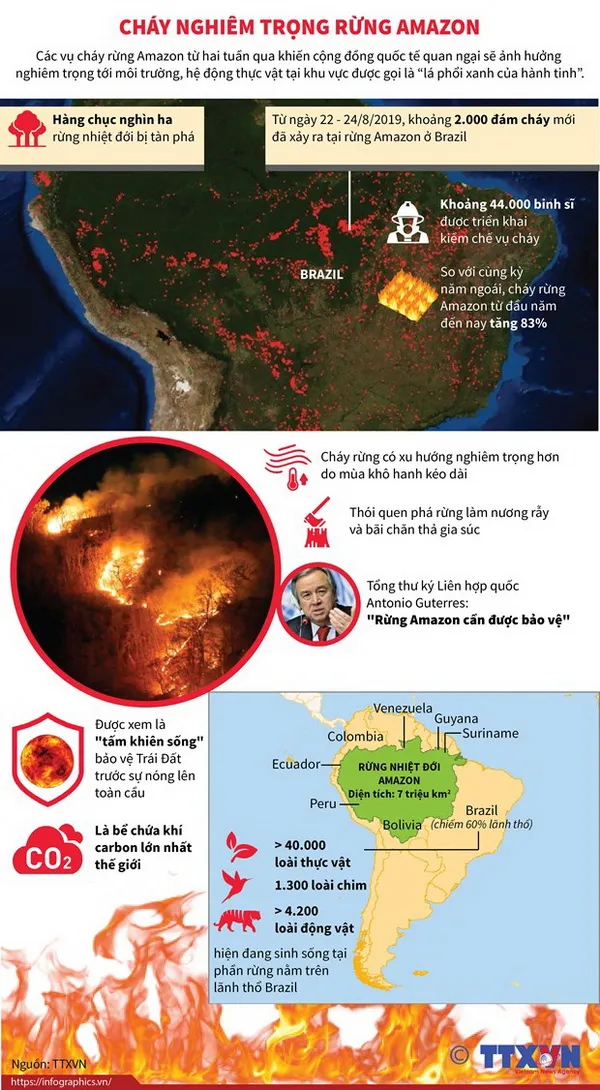 Cháy rừng Amazon