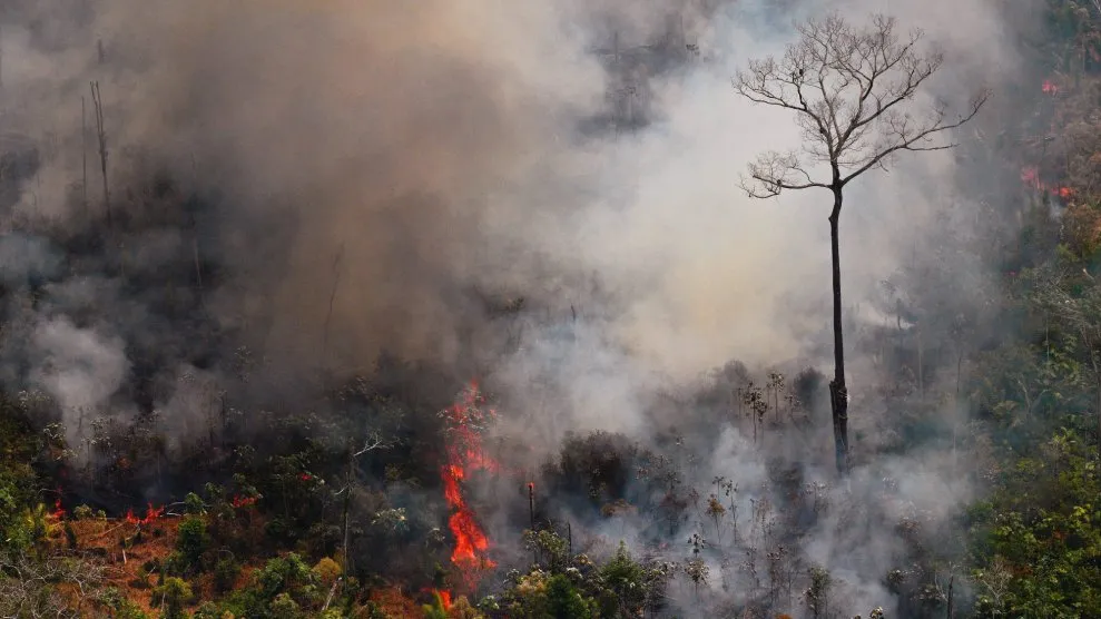 cháy rừng Amazon, 